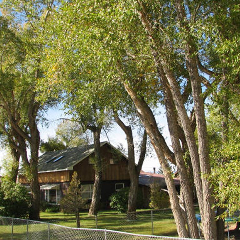 Montanas Medicine Lodge in Dillon, MT